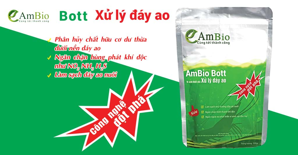 AmBio Bott- vi sinh thiết yếu xử lý đáy ao