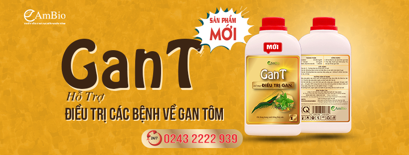 GanT - Hỗ trợ ĐIỀU TRỊ GAN