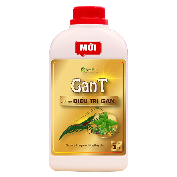 GanT - Hỗ trợ ĐIỀU TRỊ GAN