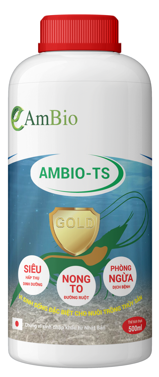 AmBio TS Gold