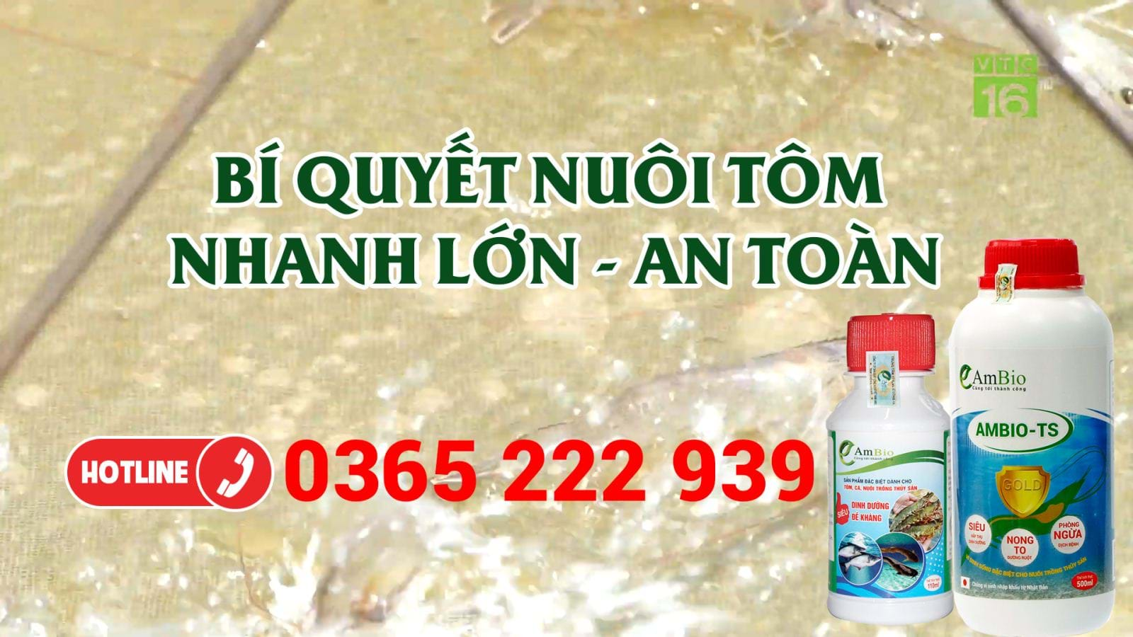 Bí quyết nuôi tôm lớn nhanh