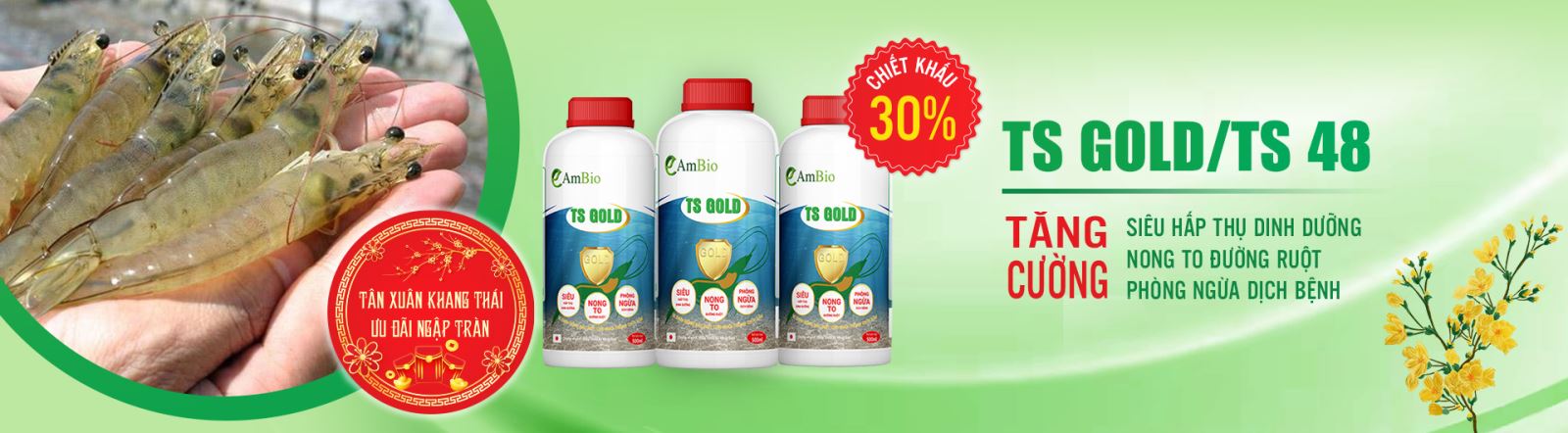 AmBio TS Gold