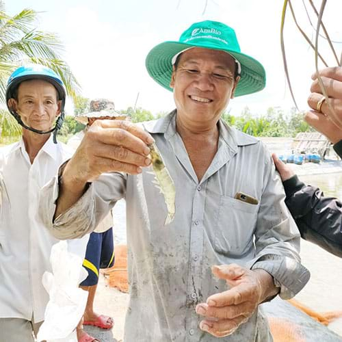 Bà con trúng mùa tại Bến Tre