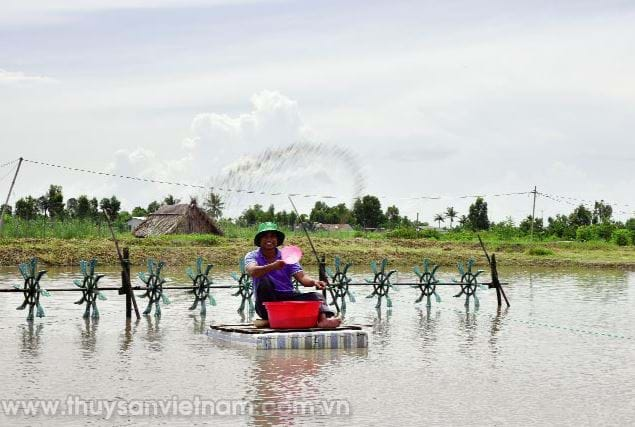 NUÔI TÔM CHUẨN TỪ NGUYÊN LIỆU SẠCH