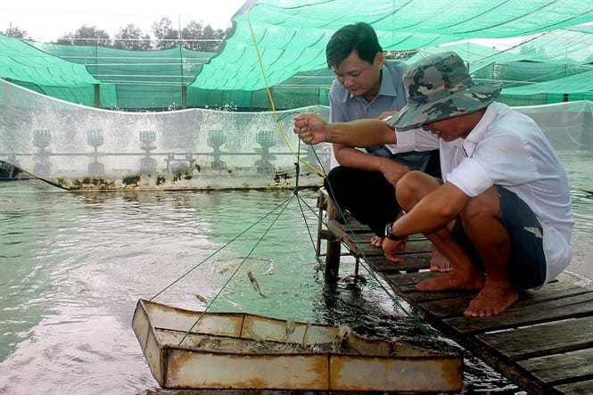 Tăng cường quản lý nuôi tôm siêu thâm canh