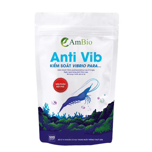 Anti Vib - Bí kíp trị vibrio