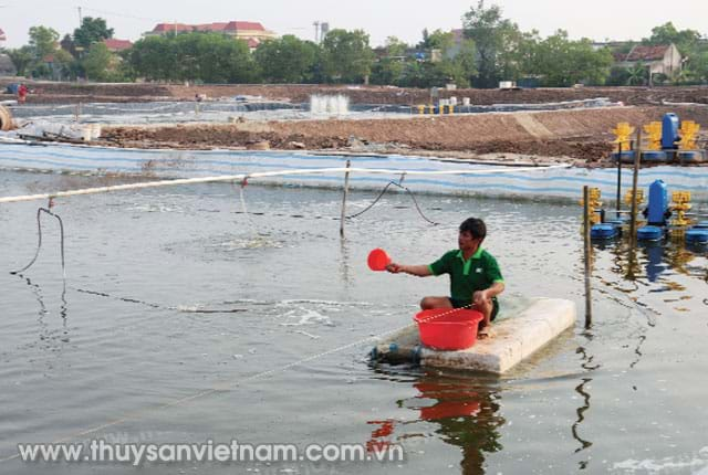 Cần đảm bảo pH luôn trong giới hạn cho phép     Ảnh: Huy Hoàn