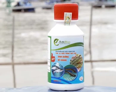 Hiệu quả của sản phẩm AmBio TS
