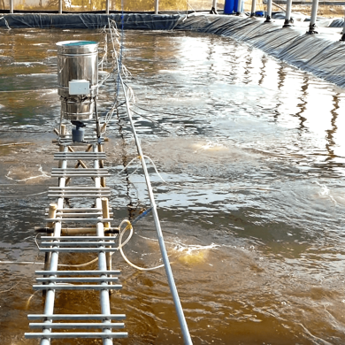 PondClean - Xử lý nhớt bạt, nhớt nước, nhớt tôm trong ao