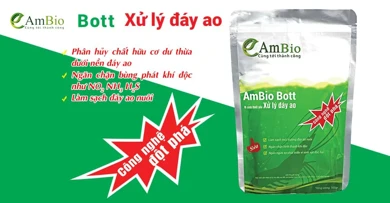AmBio Bott- vi sinh thiết yếu xử lý đáy ao