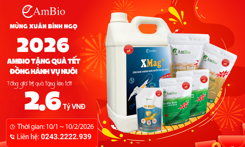 AMBIO TẶNG QUÀ TẾT – TRI ÂN KHÁCH HÀNG NHÂN DỊP TẾT BÍNH NGỌ 2026