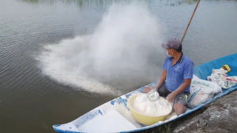Phòng và xử lý phèn trong ao nuôi