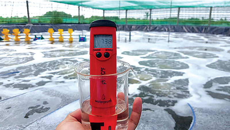 Kiểm soát nhiệt độ ao nuôi tôm