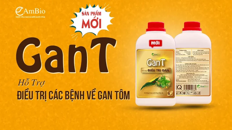 GanT - Siêu phẩm hỗ trợ ĐIỀU TRỊ GAN TỤY TRÊN TÔM