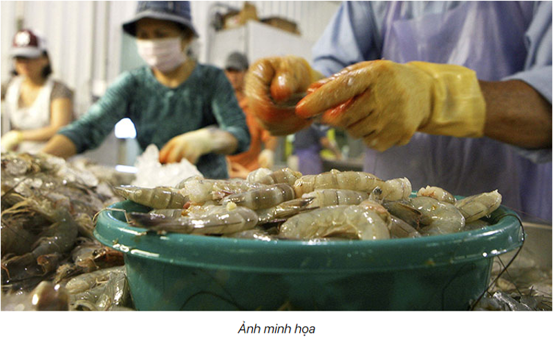 Việt Nam trở thành nguồn cung thủy sản lớn thứ 3 của Nhật Bản