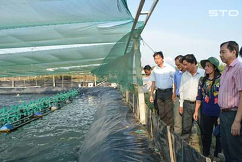 Nuôi tôm công nghệ cao, lợi nhuận tăng 3 – 5 lần so với nuôi ao đất