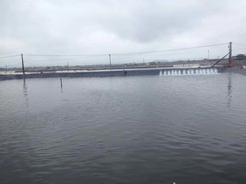 Thực trạng ngành tôm (Kì 3): Tôm sạch lên ngôi!