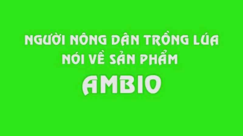 Nông dân trồng lúa Long An nói về AmBio