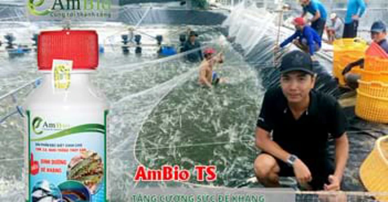 Giải pháp đột phá mới cho bệnh đường ruột ở tôm