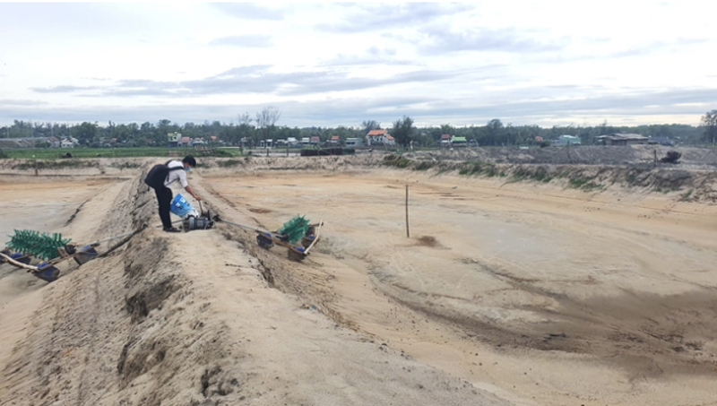 Báo động môi trường nuôi trồng thủy sản nước lợ bị suy thoái