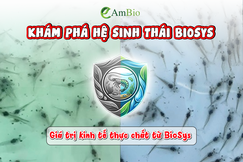 KHÁM PHÁ HỆ SINH THÁI BIOSYS VÀ LÝ DO KHÔNG THỂ THIẾU NẾU MUỐN NUÔI TÔM THÀNH CÔNG