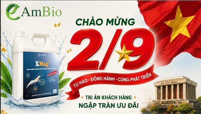 CHƯƠN TRÌNH CHÀO MỪNG QUỐC KHÁNH 2/9