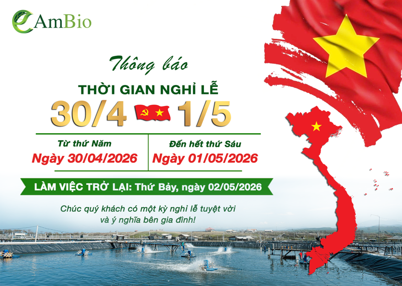 📢 THÔNG BÁO NGHỈ LỄ 30/4 – 1/5 & GIỖ TỔ HÙNG VƯƠNG 2026