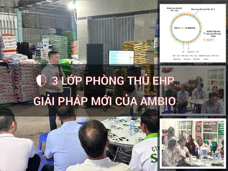 Hội thảo đầu bờ tại Bạc Liêu về "3 LỚP PHÒNG THỦ EHP – GIẢI PHÁP CHIẾN LƯỢC MỚI CỦA AMBIO"