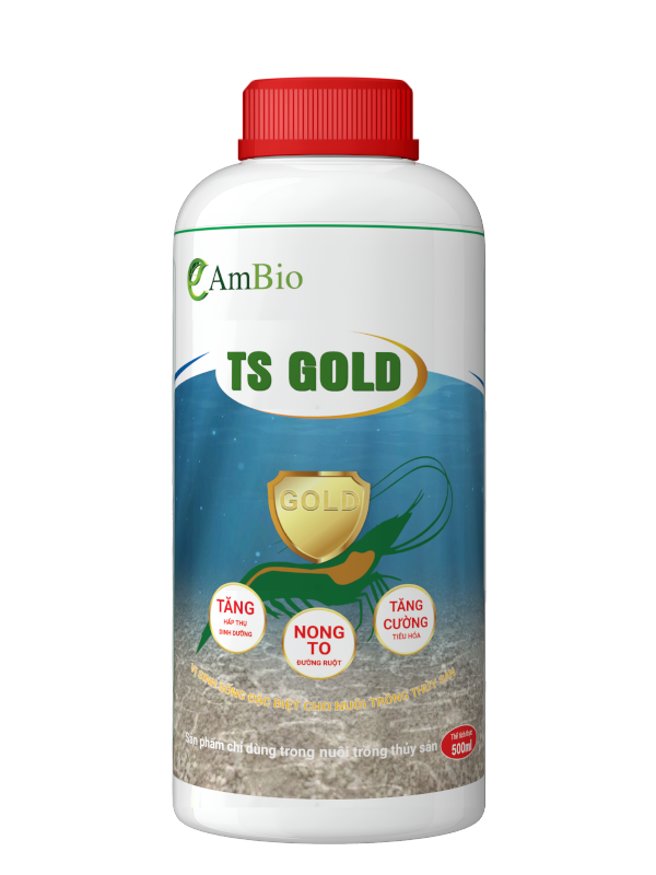 AmBio TS Gold